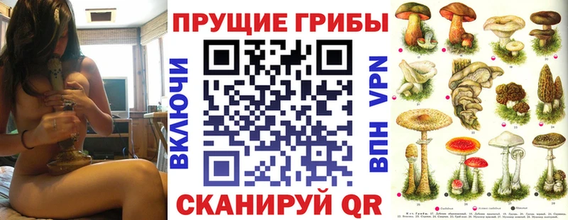 Галлюциногенные грибы Magic Shrooms  Купить  Карабаш 