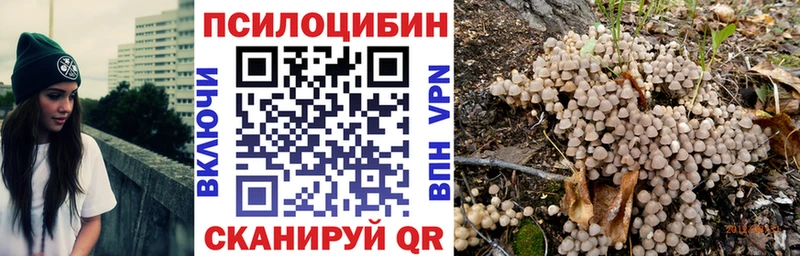Галлюциногенные грибы Psilocybe Карабаш